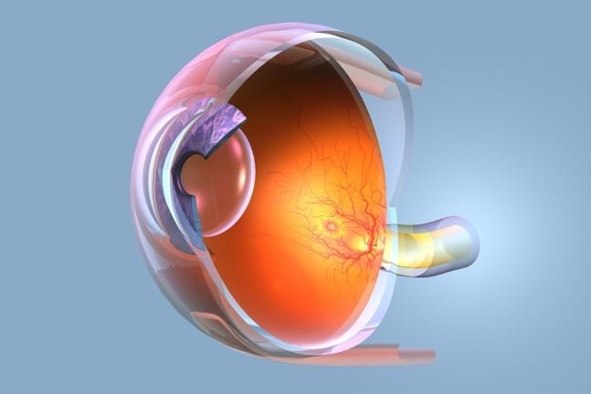 Diabetic Macular Edema Baltimore, Pikesville, Glen Burnie, & Owings Mills